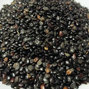 Graine de nigelle médicinale Saoudienne Premium | Shifa Botanica