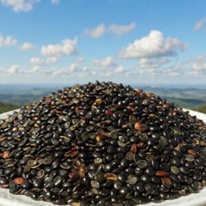 Graine de nigelle médicinale Saoudienne Premium | Shifa Botanica